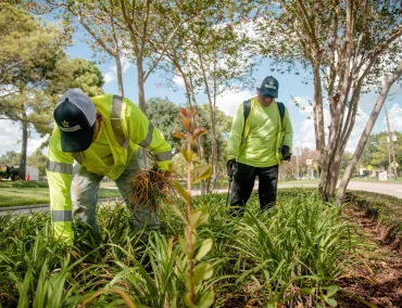 commercial landscaping c (1) commercial landscaping c (1)